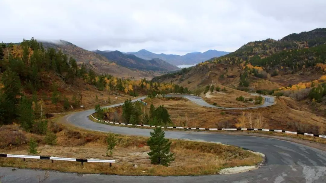 Баянауылға келетін туристер саны жыл сайын артып келеді