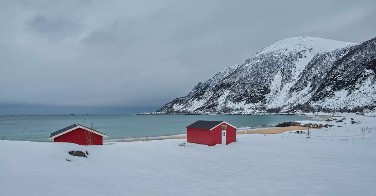 Еуропа Трамптың Гренландияға қатысты қоқан-лоққысына қалай жауап бермек