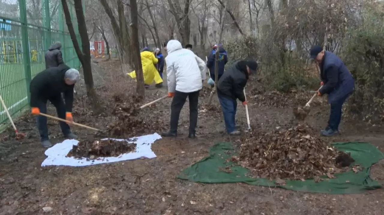 TazaQazBot: более 600 заявок отправили жители Шымкента в 2025 году