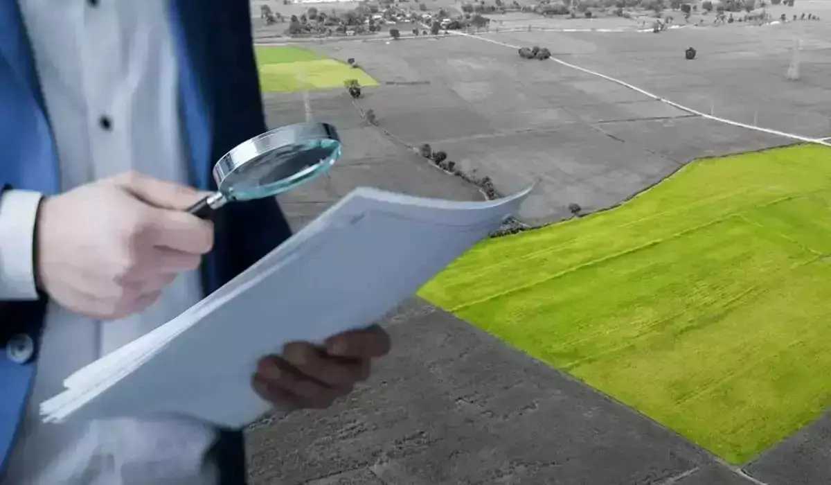 Ақмола облысында құнды жер заңсыз конкурс арқылы жекенің қолына өтіп кете жаздаған