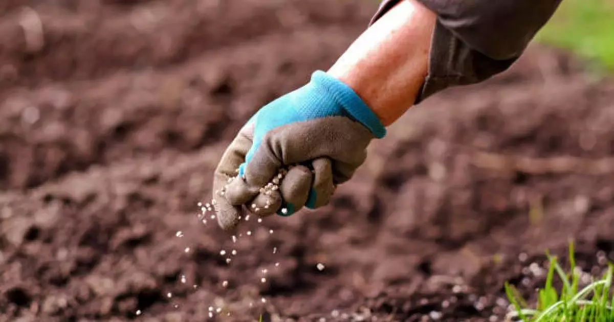  Ақмола облысында құны 82 млн теңге тұратын жер телімі мемлекетке қайтарылды 