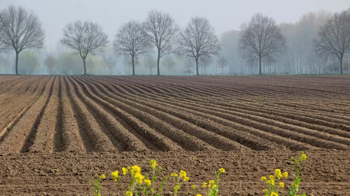 Ақмола облысында 82 млн теңгеден асатын жер учаскелері мемлекетке қайтарылды