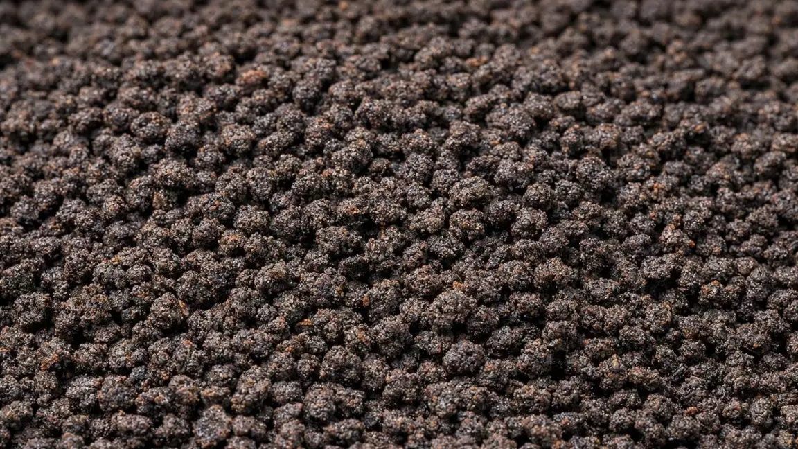 Сарапшы зиянды шайларға қатысты пікір білдірді