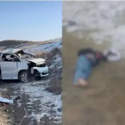 Иностранные студенты погибли в ДТП на трассе под Алматы