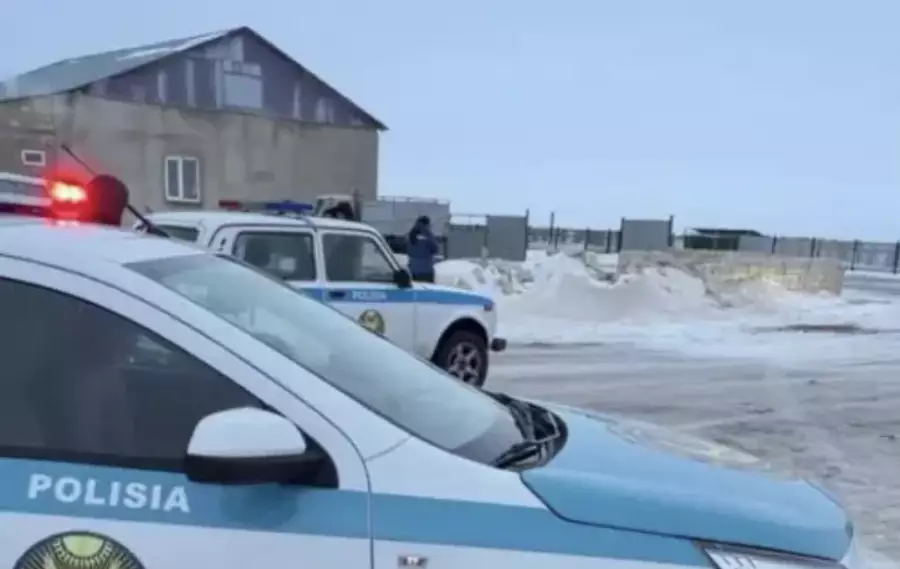 Жангелдин ауылындағы ерлі-зайыптының өліміне кім күдікті екені белгілі болды