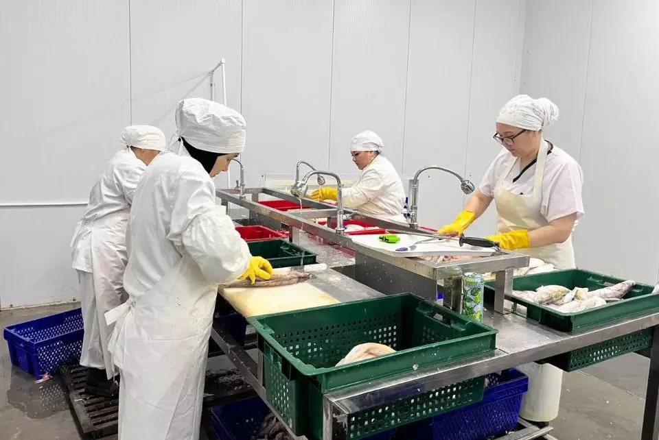 Стало известно, сколько рыбы производят в Казахстане