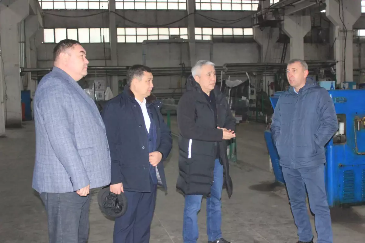 Мәжіліс депутаттары Жетісу өңіріндегі кәсіпорындардың жұмысымен танысты