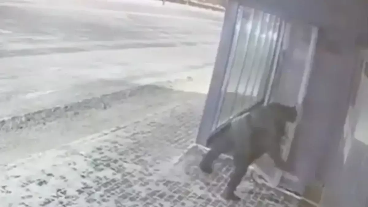 Астанада ер адам жылы аялдаманың әйнегін сындырып, қашып кеткен (ВИДЕО)