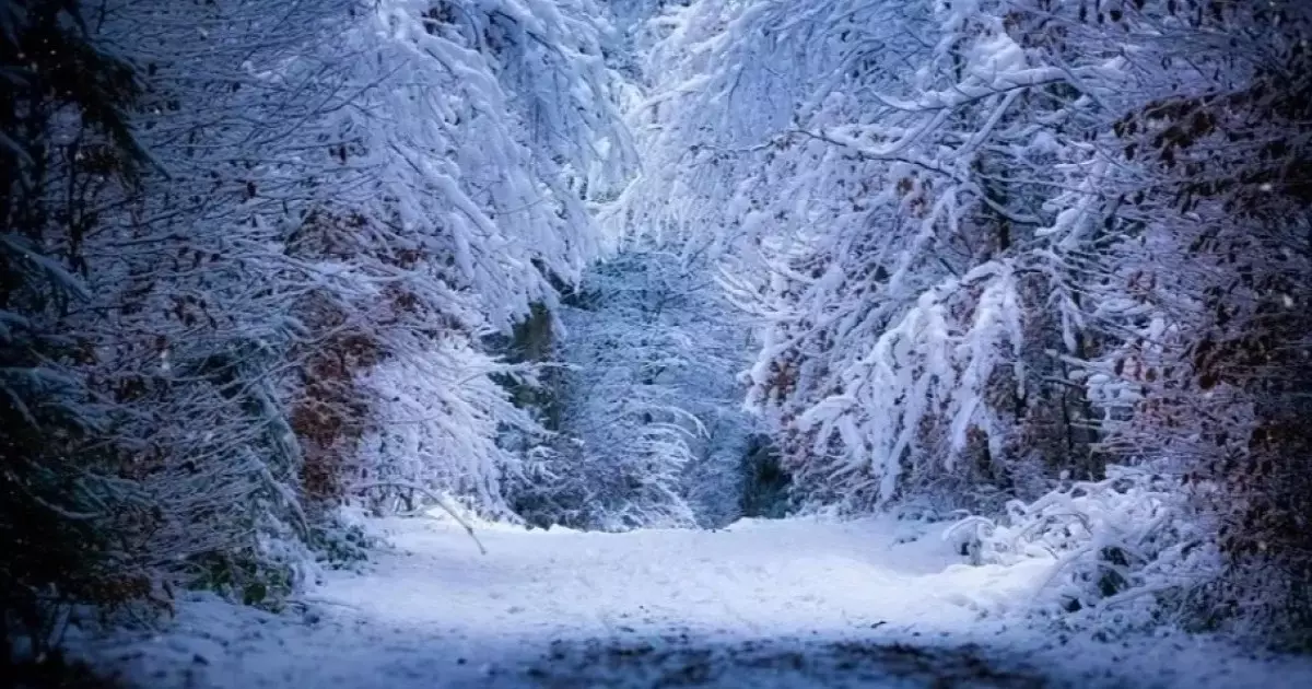  9 қаңтарда қай өңірлерде ескерту жасалды 