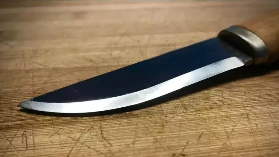 Қызылордада екі адамды өлтірді деген күдікпен көршісі ұсталды