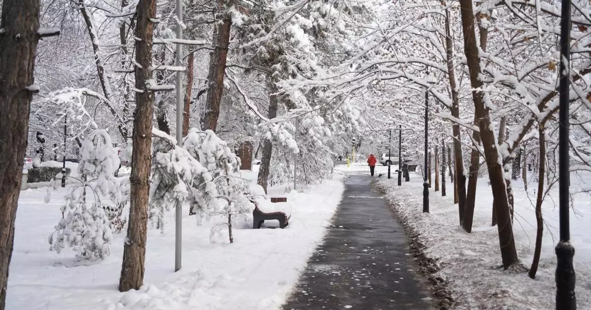 До 16 градусов мороза ожидается в пятницу в мегаполисах Казахстана.