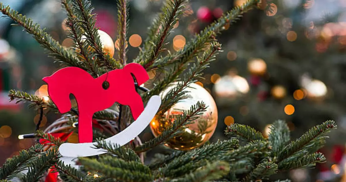  Теміртау тұрғыны өзге біреудің подъезде тұрған шыршасын өртеп жіберген 