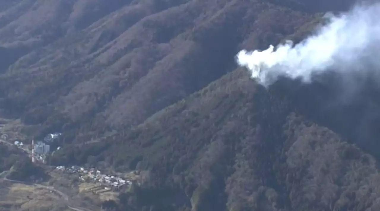 Лесной пожар бушует в Японии