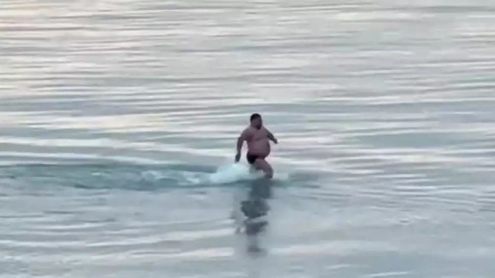 “Что за тигр этот морж“. Январское купание казахстанца удивило соцсети