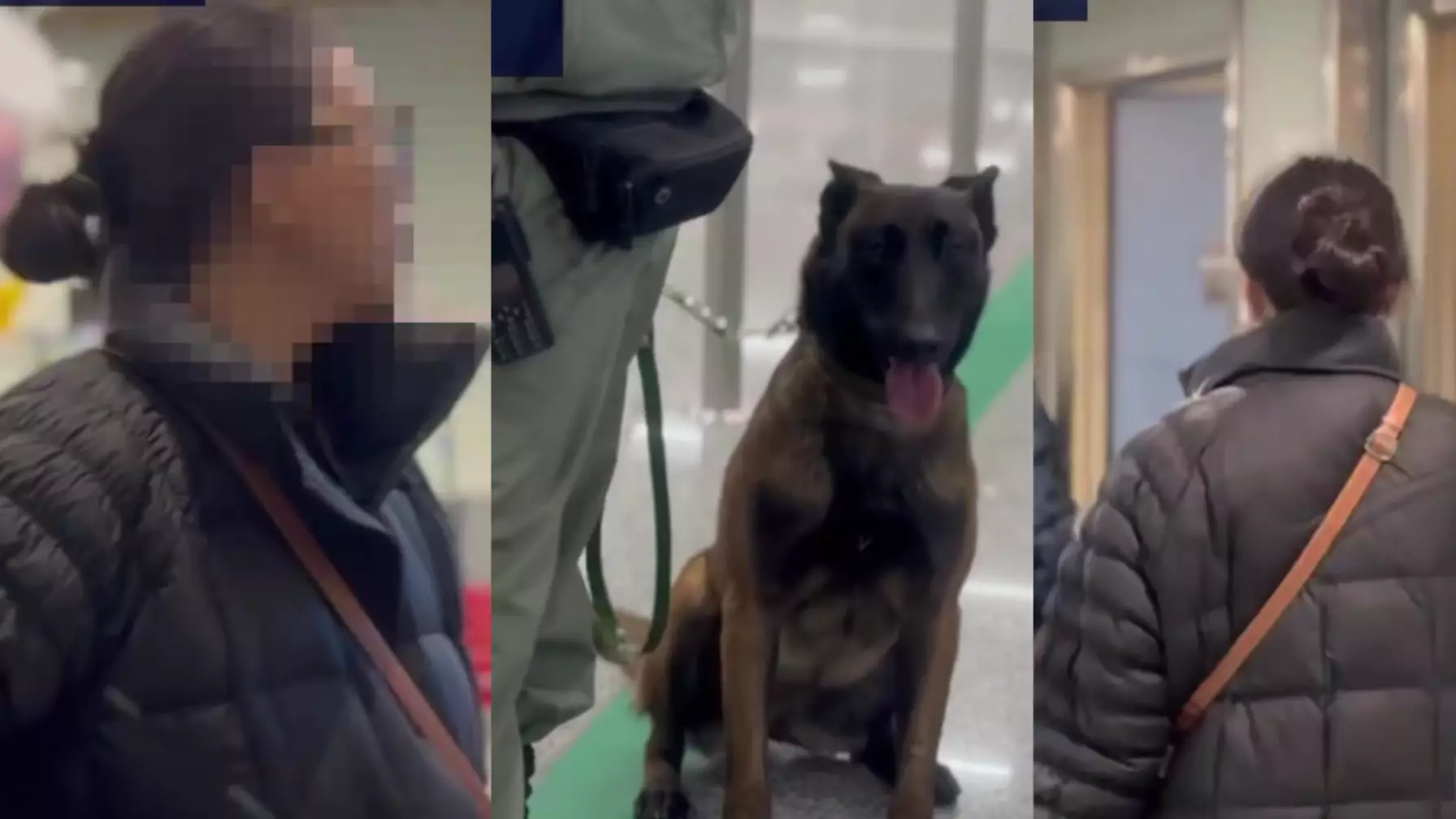 “Түркияда тұтқындалды” - Алаяқтыққа күдікті Қызылордалық әйел туралы тың ақпарат шықты (ВИДЕО)