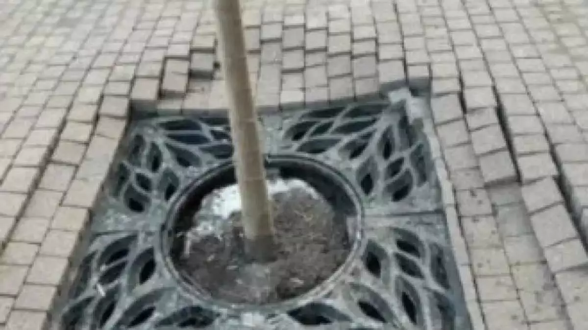 "Осыған алты ай кетті": Алматылықтар Достық даңғылындағы жөндеу сапасына шағымданды