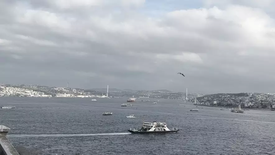 Ураганный шторм обрушился на Стамбул: поваленные деревья, отменённые рейсы и перебои в транспорте