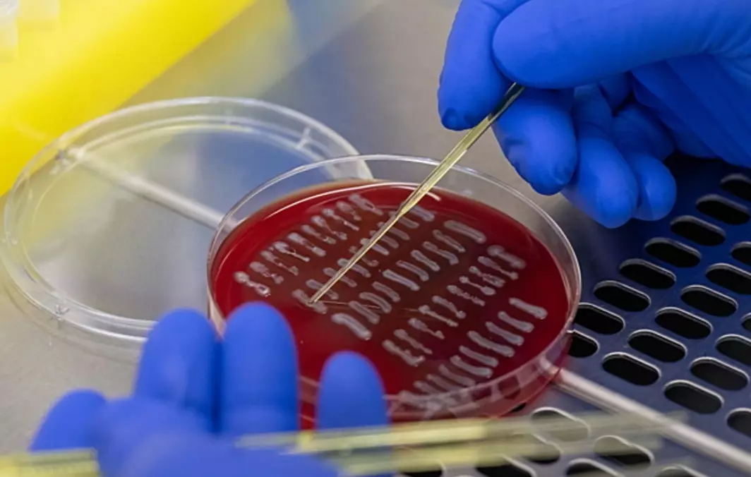 По делу об отравлении 12 детей в Таразе отделались штрафом с 30%-й «скидкой»