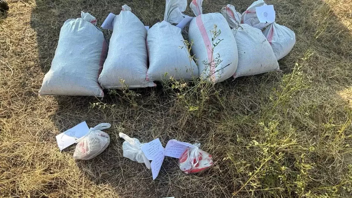 Жамбыл облысында қап-қап есірткі тасып жүрген төрт адам ұзақ мерзімге сотталып кетті