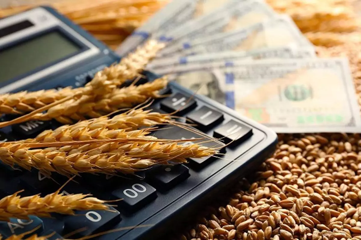 В «Продкорпорации» выявлены нарушения в распределении субсидий на перевозку зерна