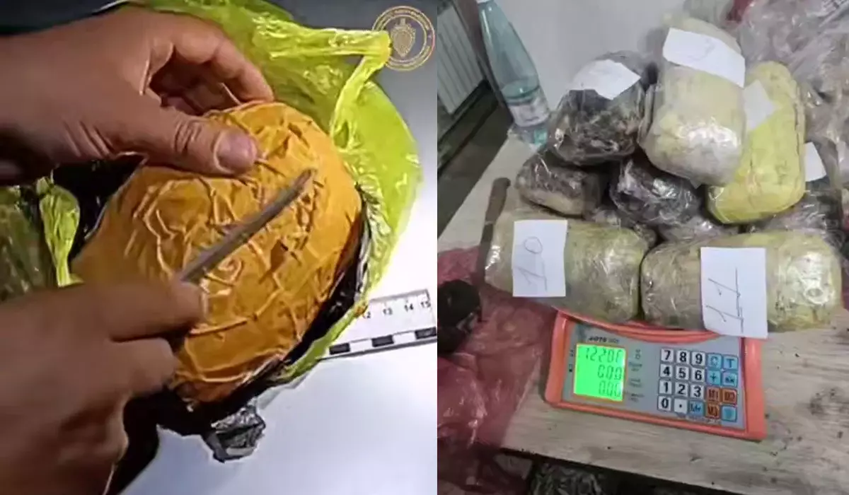 Международная наркогруппировка задержана в Кыргызстане: среди участников – казахстанцы