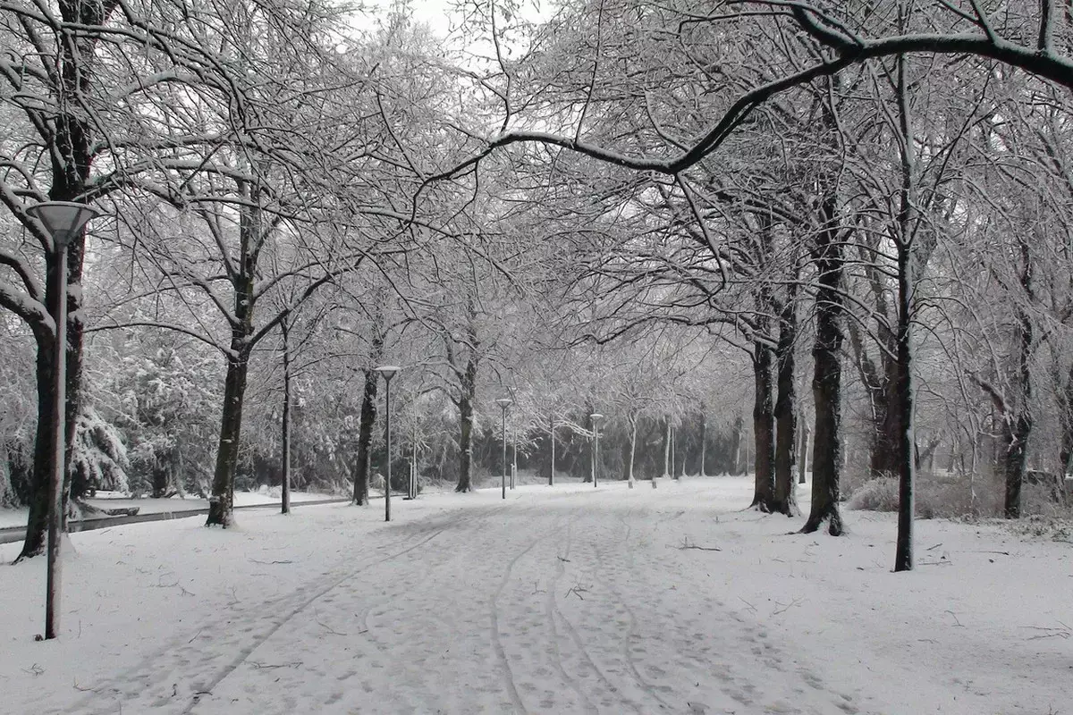 Туман окутает большую часть Казахстана: штормовое предупреждение на 10 января