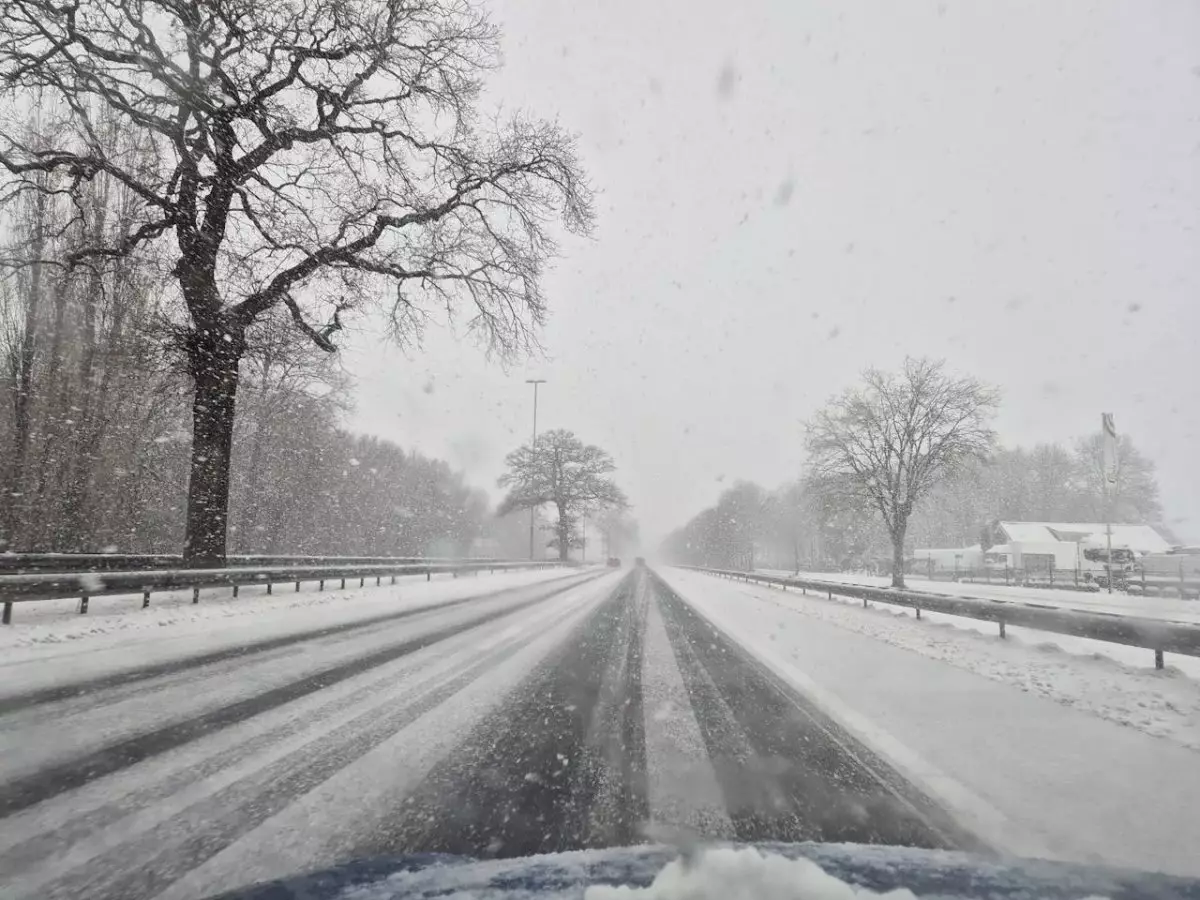 Туманы на севере и гололед на западе ожидаются в Казахстане