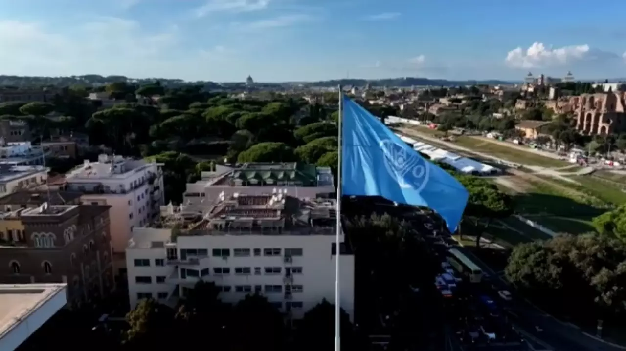 FAO: мясо и молочные продукты стали дешевле