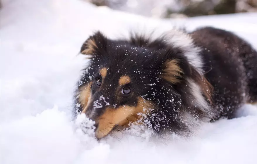Погода без осадков ожидается в субботу в большинстве регионов Казахстана
