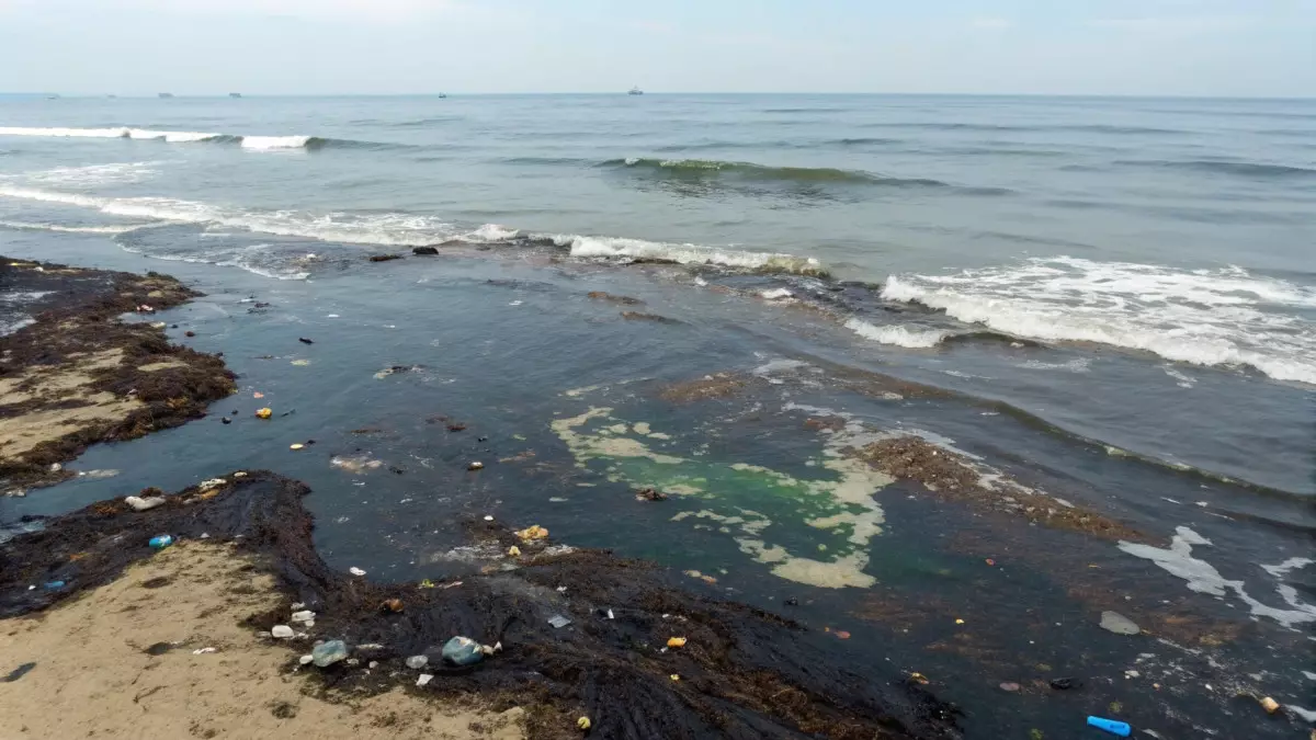 Нефть на пластике: как океанское течение перенесло загрязнение через Атлантику на тысячи километров