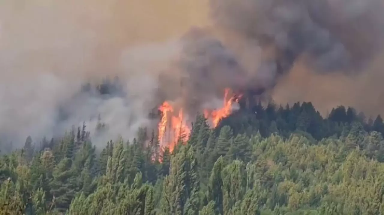 Четыре тысячи гектаров леса сгорело в Аргентине