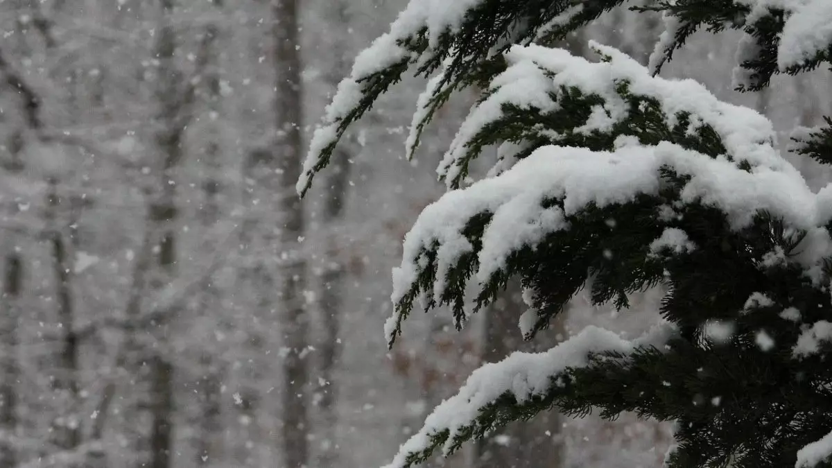 Бірнеше өңірде дауылды ескерту жарияланды