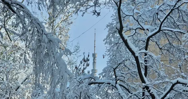 Непогода возвращается: снег и метель прогнозируют в Казахстане 11 января