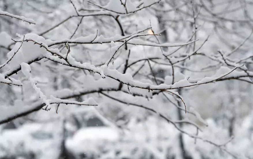 Осадки ожидаются в воскресенье в Астане и Шымкете, в Алматы без осадков