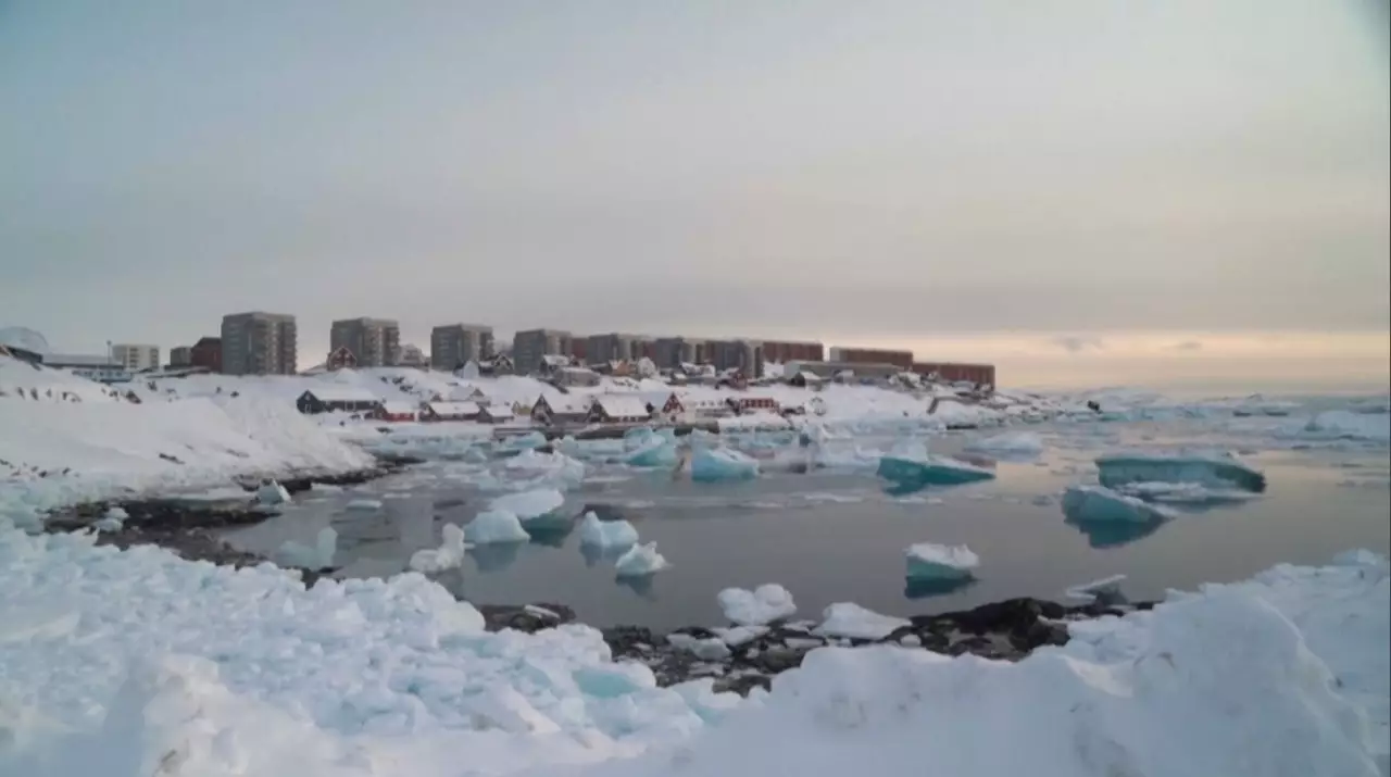 Данияда Гренландия туына сұраныс артты