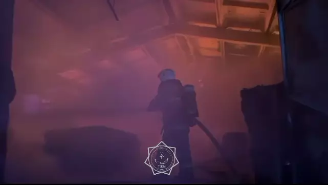 Крупный пожар в мебельном цехе произошел в Алматинской области