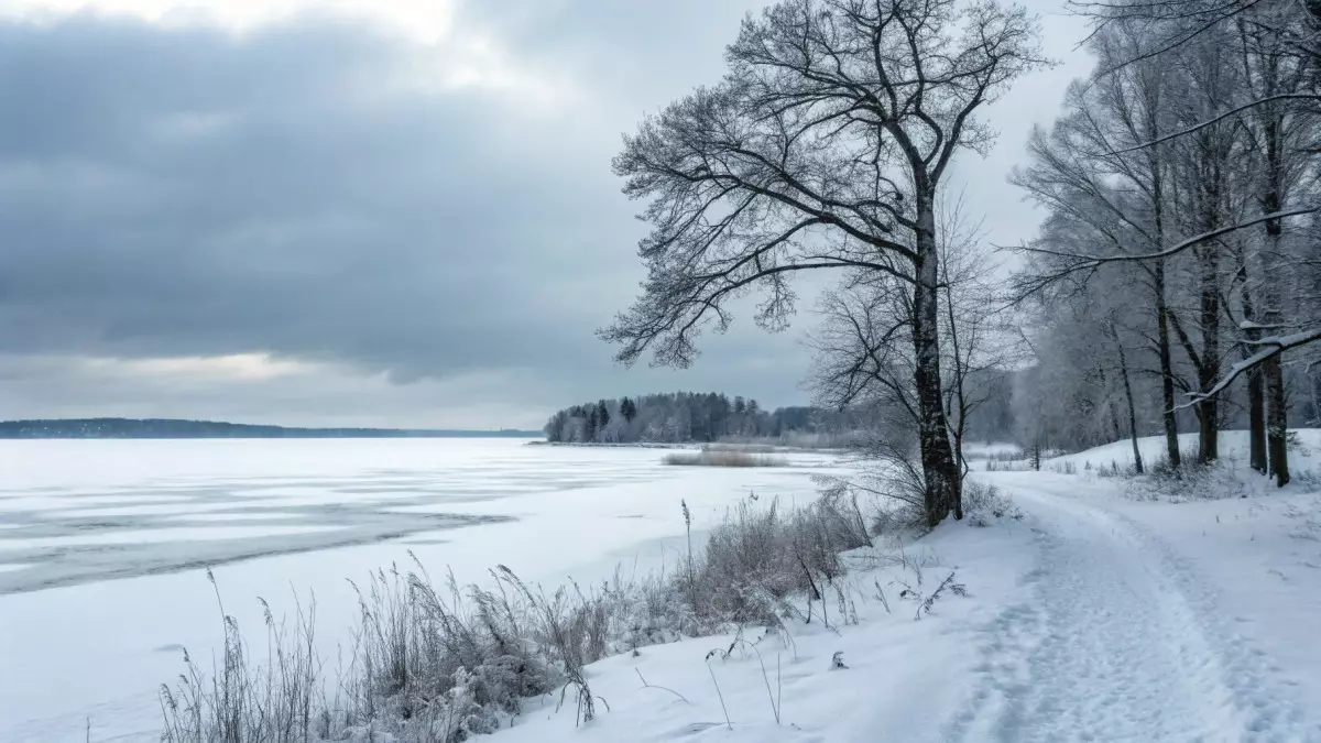Казахстан ожидает неделя суровых зимних холодов