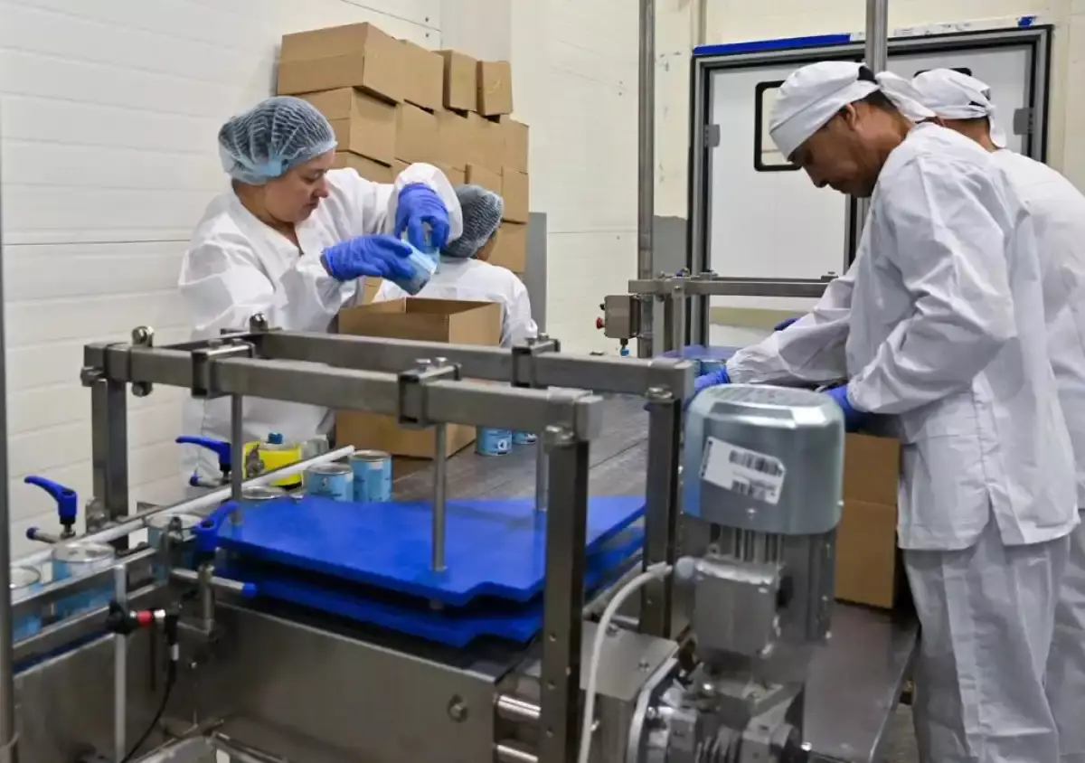 СҚО-да еліміздегі ең ірі қоюландырылған сүт өндіретін цех іске қосылды