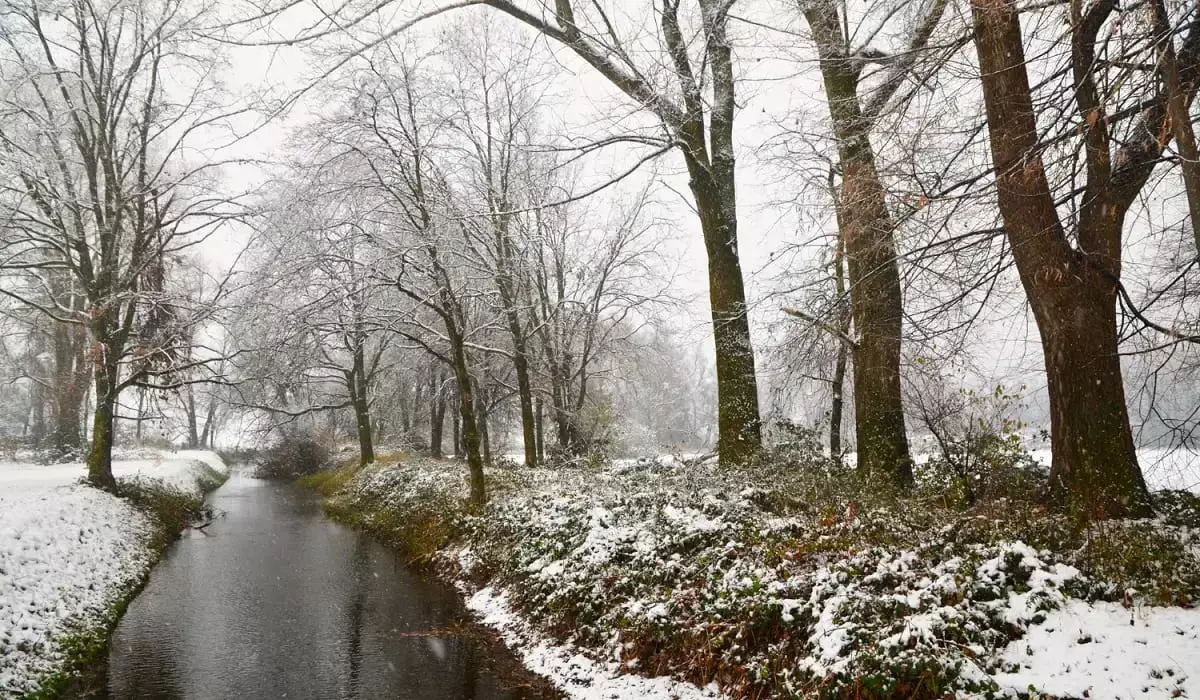 Қар, боран: 12 қаңтарға арналған ауа райы болжамы