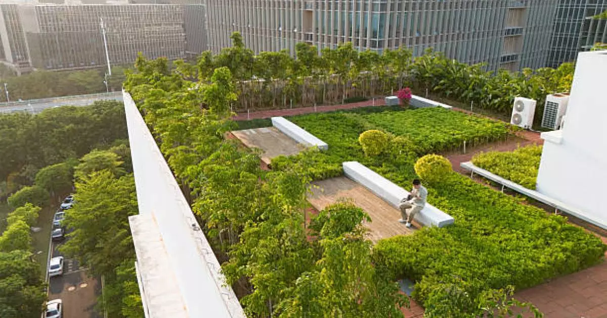  Жетісуда жеке тұлғаға заңсыз сатылған саябақ жері қайтарылды 