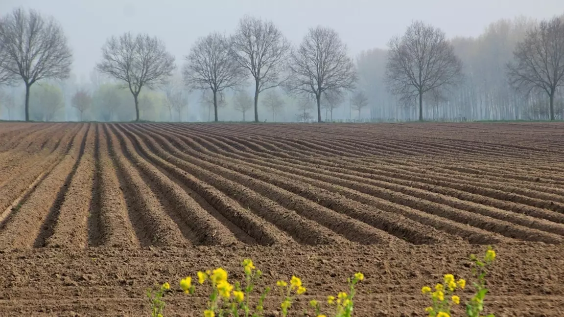 Жетісу облысында жерлер мемлекетке қайтарылды