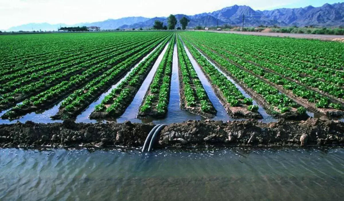 Поставщиков поливной воды оштрафовали почти на 18 млн тенге в Казахстане