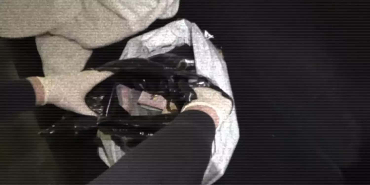 Батыс Қазақстанда салық басшысы жемқорлықпен ұсталды