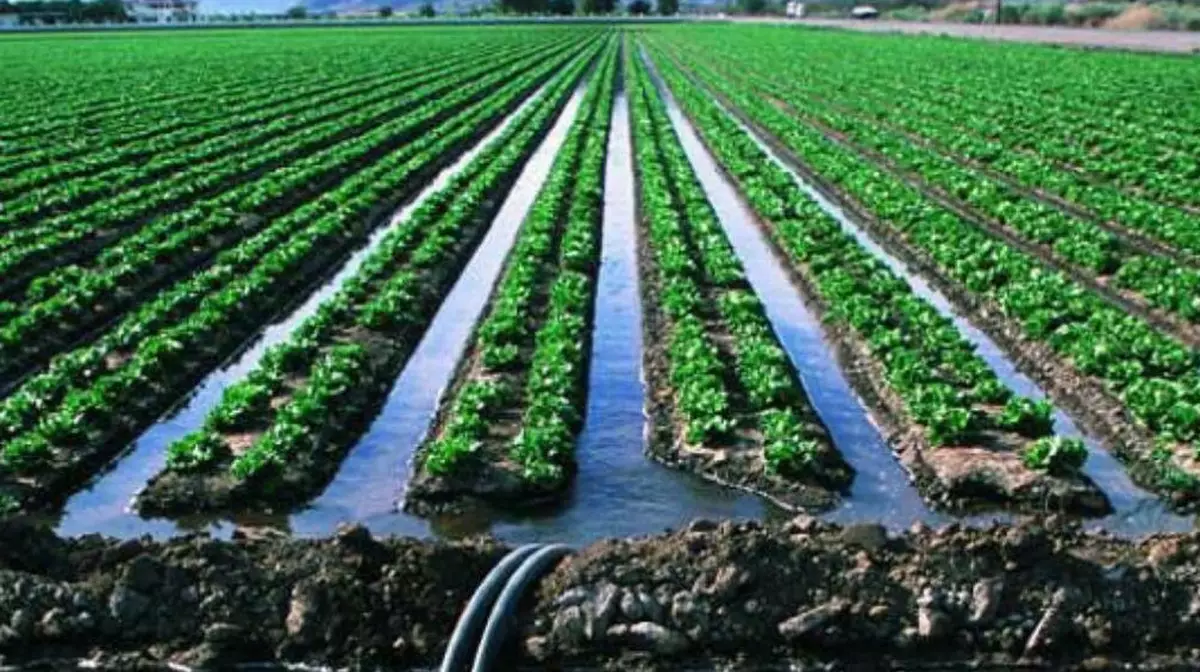 Поставщиков поливной воды оштрафовали на 17,8 млн тенге за нарушения