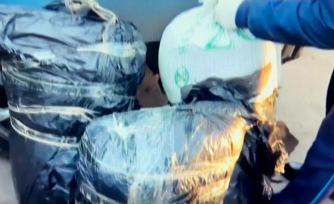 Крупную партию наркотиков нашли в легковушке в Жамбылской области