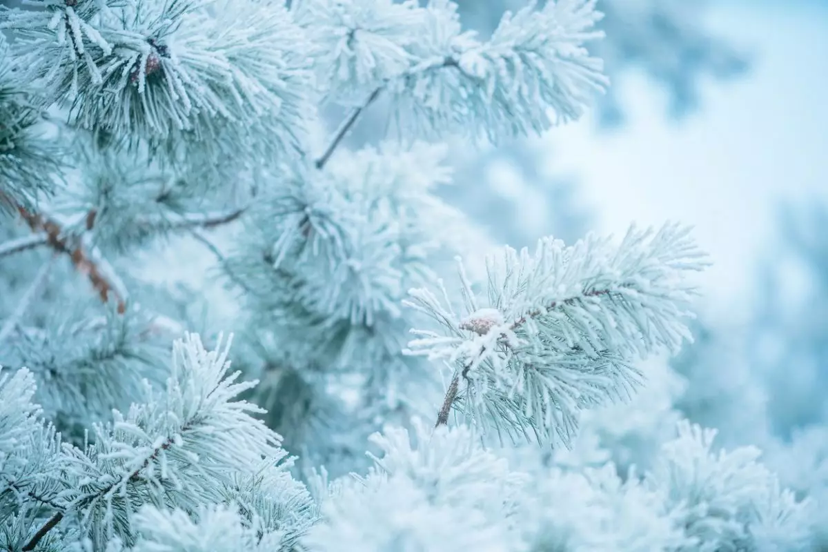 38-градусные морозы надвигаются на Казахстан