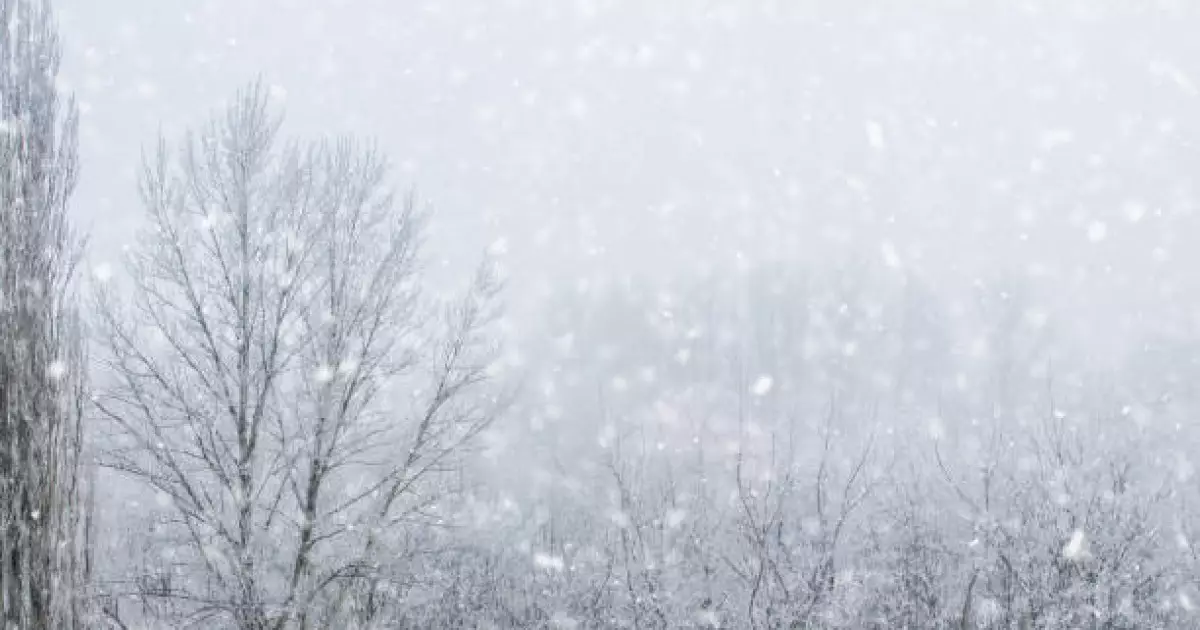   Мамандар азаматтарға қыс мезгіліндегі қауіпсіздік шаралары туралы ескертті   