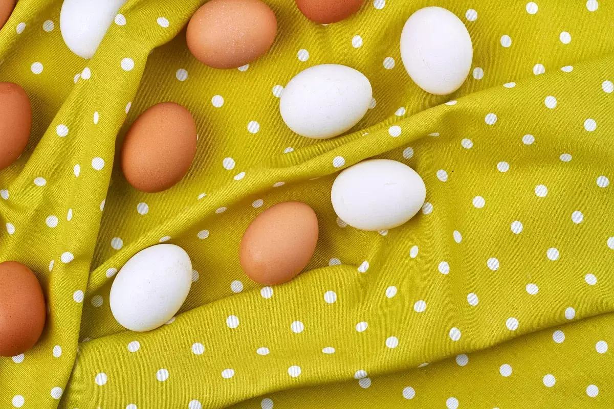Қоңыр немесе ақ: жұмыртқаның қай түрі пайдалы