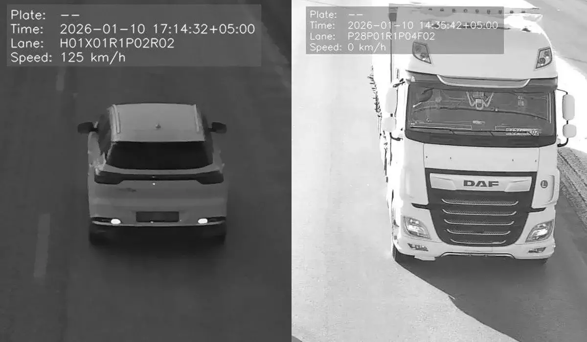 Порядка 900 машин с подложными номерами выявили в Казахстане