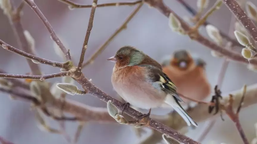 Алдағы күндері бұрын-соңды болмаған аяз түседі